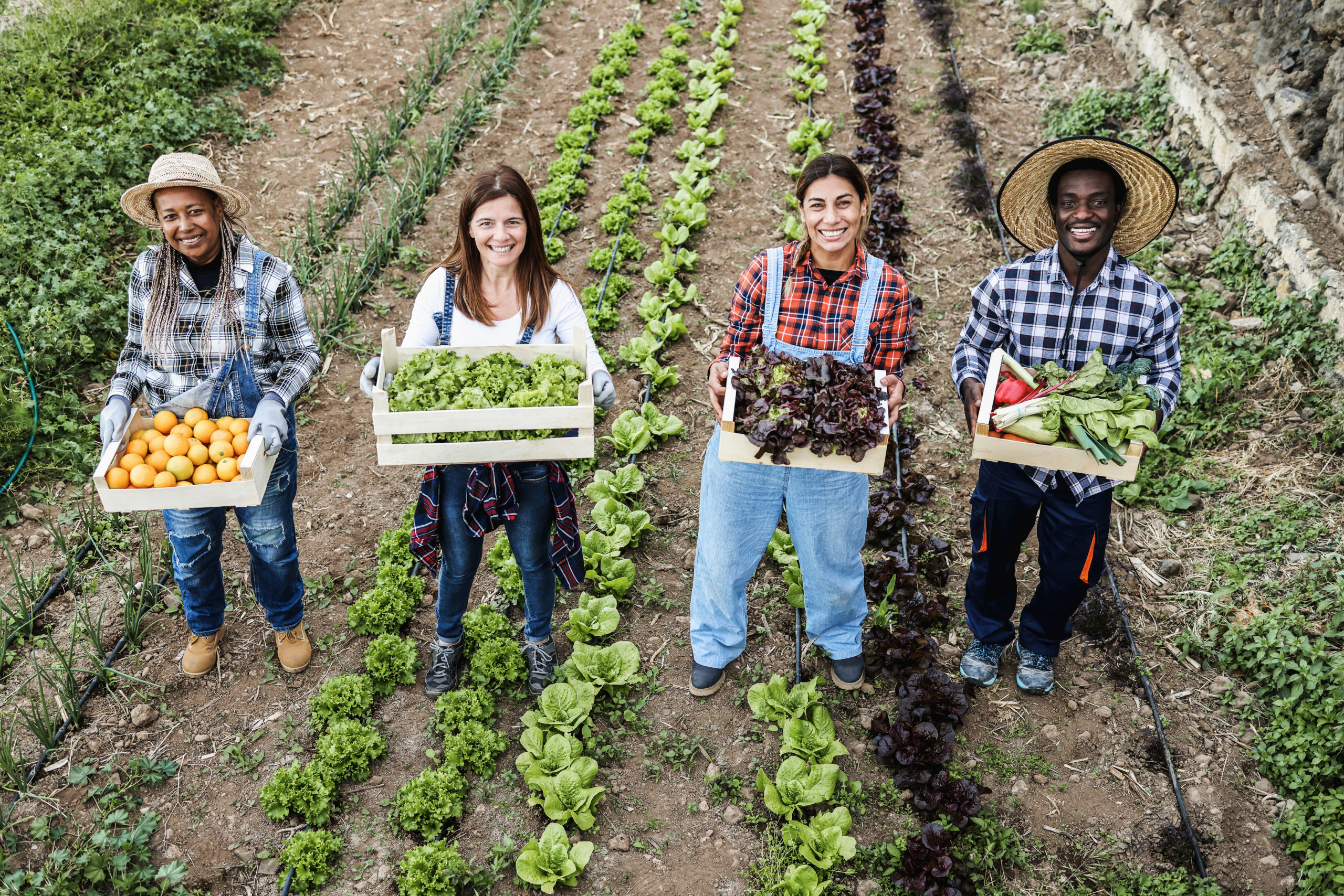 Gratitude and Reflection Farm Aid Gratitude and Reflection Farm Aid