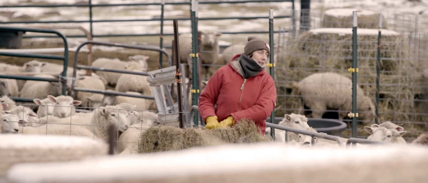 screenshot from "Get Loud" video of Lauren Langworthy tending to sheep