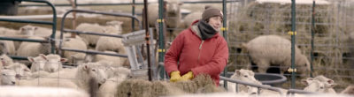 screenshot from "Get Loud" video of Lauren Langworthy tending to sheep