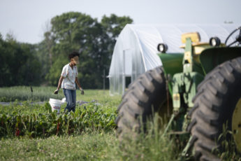 How Heirs’ Property Fueled the 90 Percent Decline in Black-Owned Farmland