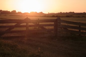 Congress Must Continue Funding the Farm and Ranch Stress Assistance Network