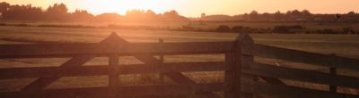 fence at sunset