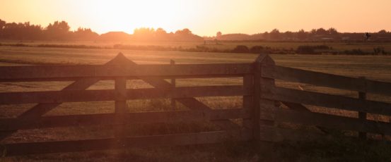 Congress Must Continue Funding the Farm and Ranch Stress Assistance Network