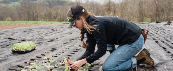 A Look at USDA’s Plans to Transform the Food System
