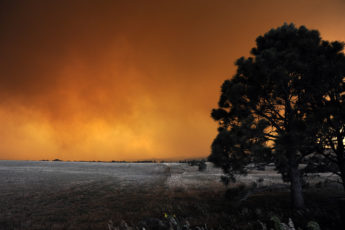 Resources for Farmers and Ranchers Facing Wildfire
