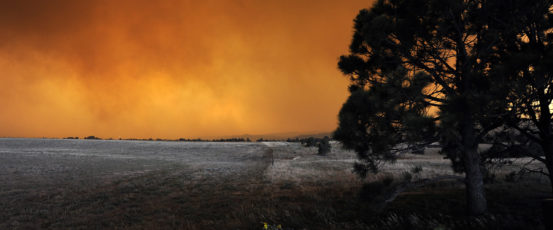 Resources for Farmers and Ranchers Facing Wildfire