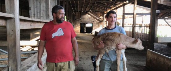Out in the Field: Capturing Farmer Stories for our Festival