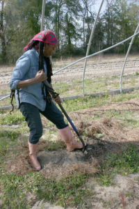 Farmer Jennifer Taylor of Lola’s Organic Farm, in Glenwood, GA.