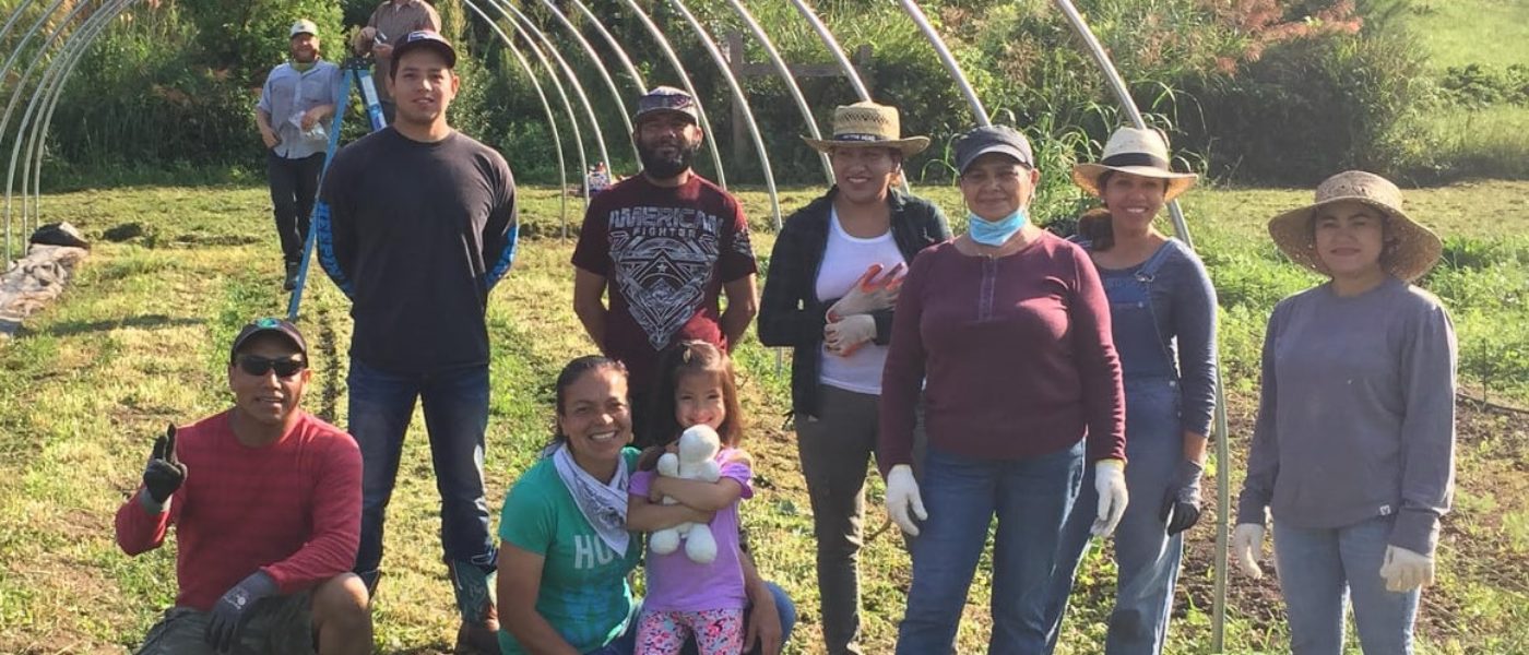 Members of the cooperative farm take a break while raising a high tunnel for Tiny Bridge Farm