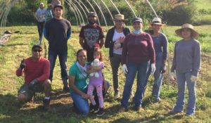 Members of the cooperative farm take a break while raising a high tunnel for Tiny Bridge Farm