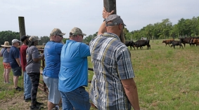 A field day on the farm with veterans