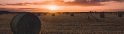 hay bales at sunset