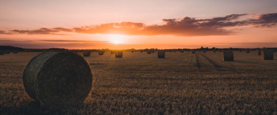 Farm Aid’s Hotline is Hearing from More Farmers. Here’s What They’re Calling About.