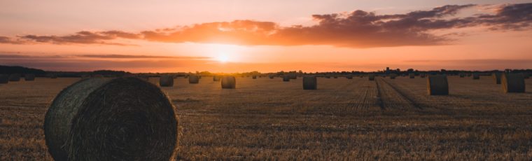 Farm Aid’s Hotline is Hearing from More Farmers. Here’s What They’re Calling About.