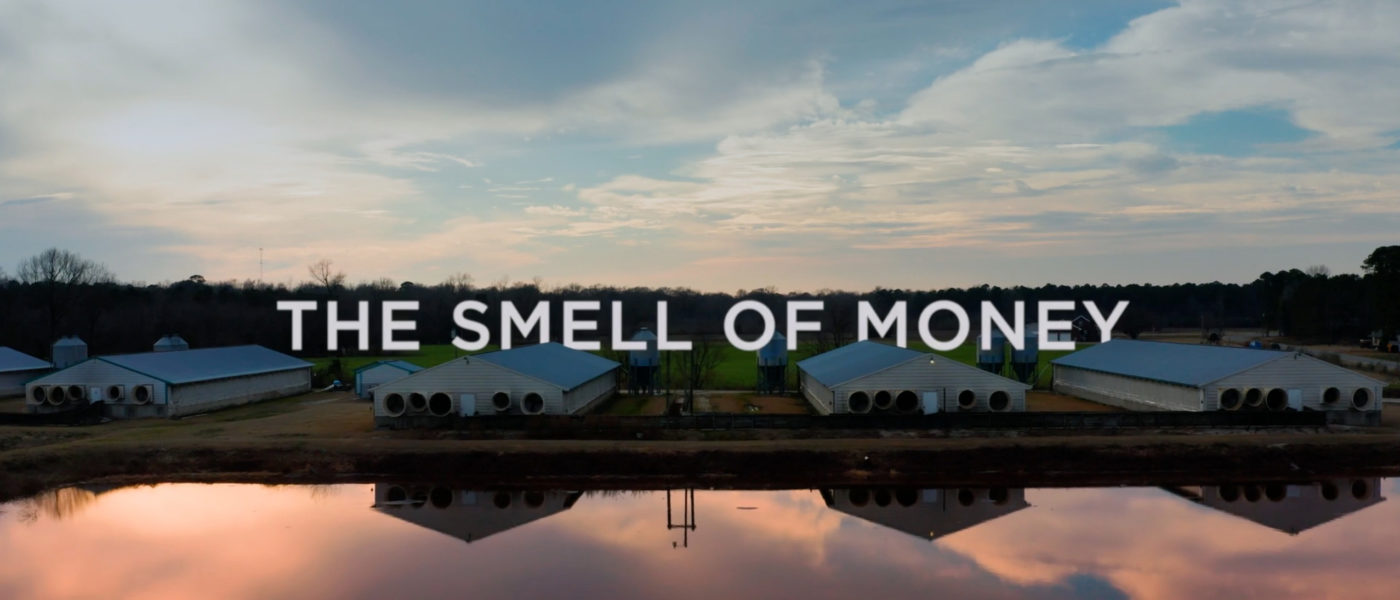 The Smell of Money screenshot