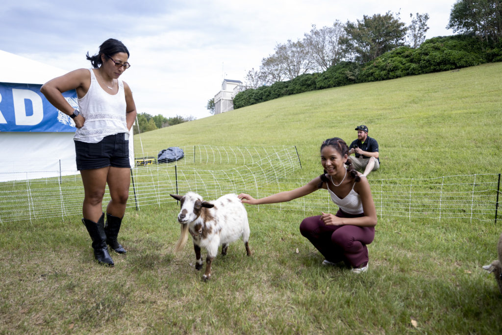 young woman petting goat at Farm Aid 2022