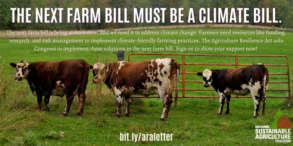 The Next Farm Bill Must Be A Climate Bill text over cows in a field. NSAC logo in bottom right.