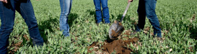 farmer digging soil in a field