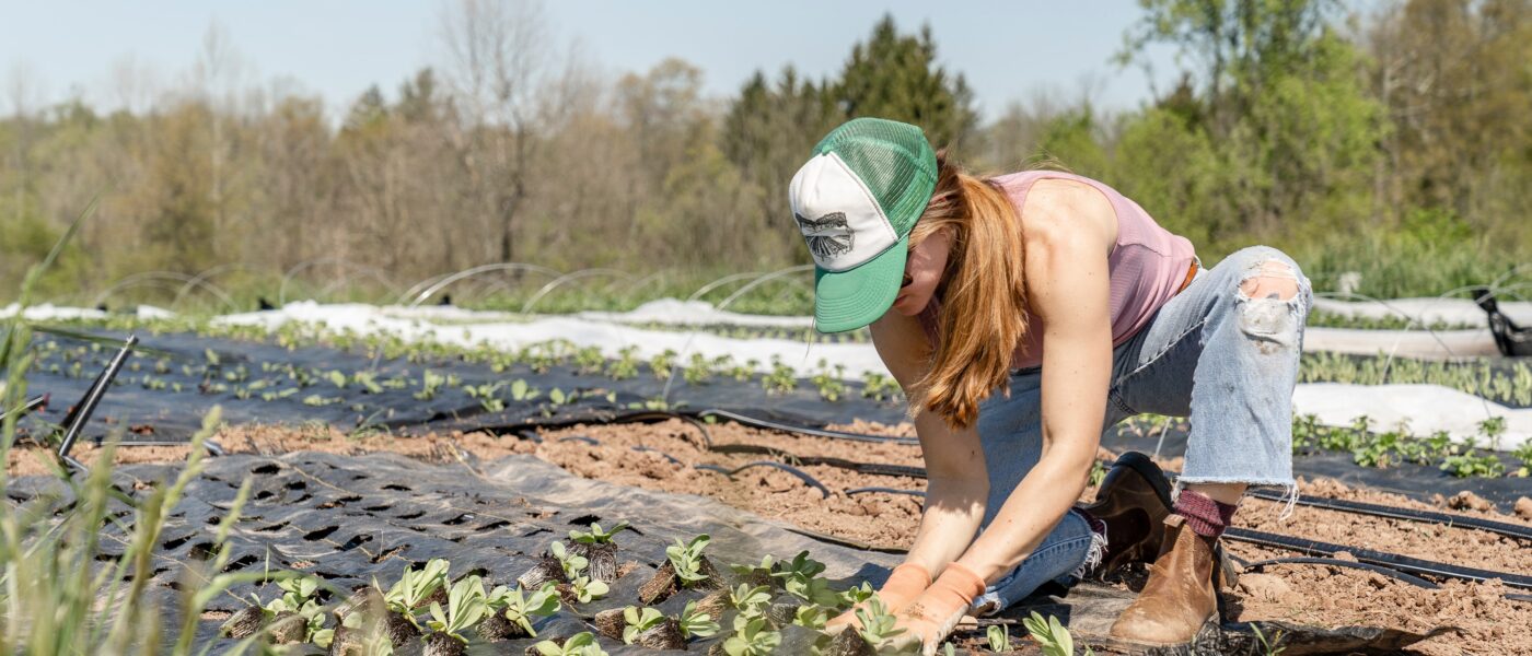 farmer in field