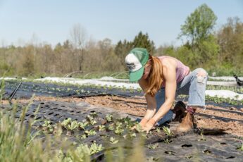 Young Farmers Success Act: Americans Should Value Farmers as Public Servants