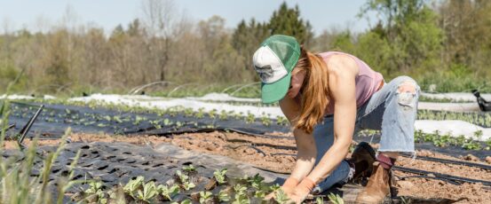 Young Farmers Success Act: Americans Should Value Farmers as Public Servants