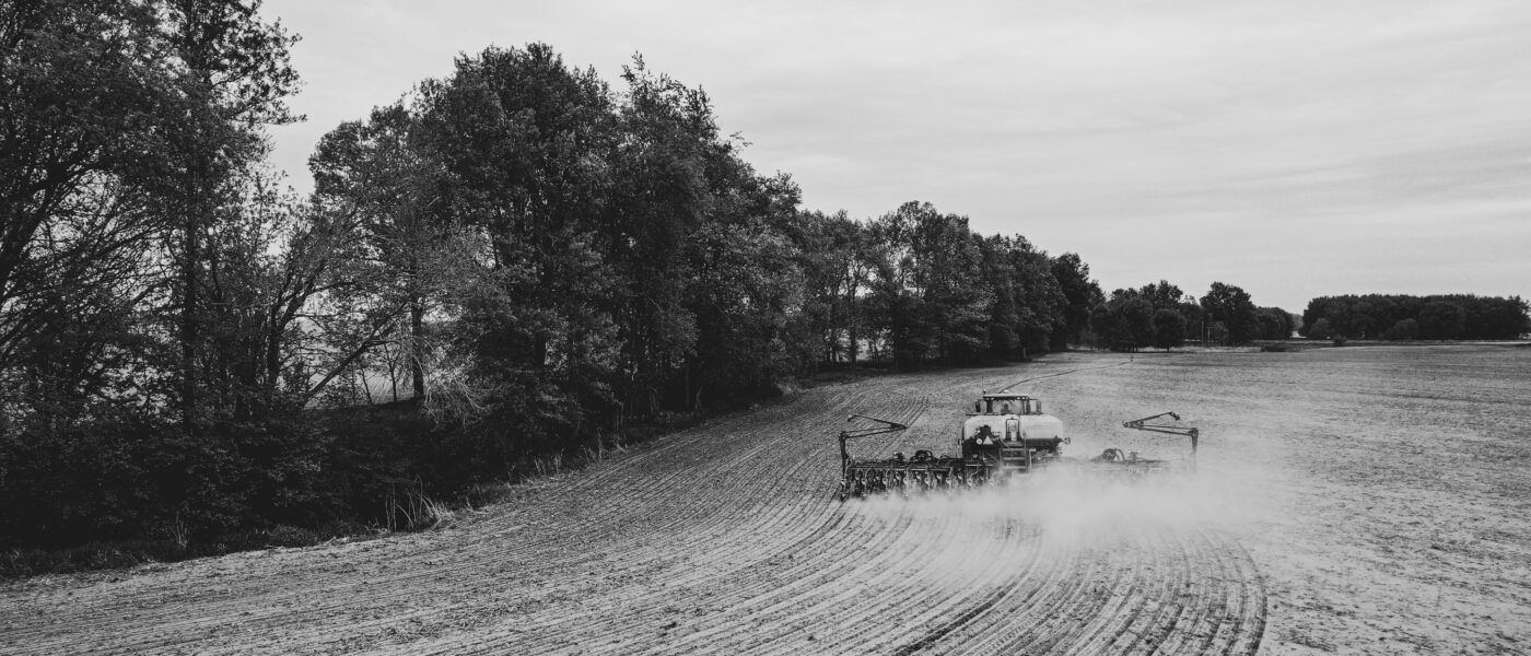 field planting