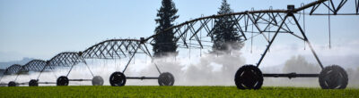 farm field with linear irrigation system