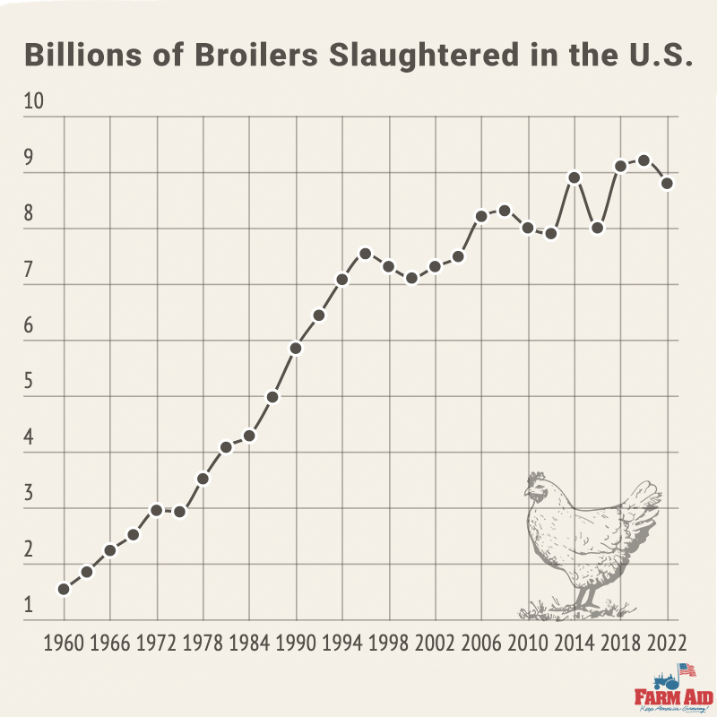Chart for "Billions of broilers slaughtered in the U.S." showing an upward trend