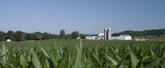 Appealing for Relief: A New Report About Farmers’ Experiences with Farm Loan Decisions