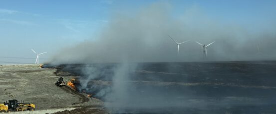 Resources for Ranchers Facing Wildfires in Texas and Oklahoma