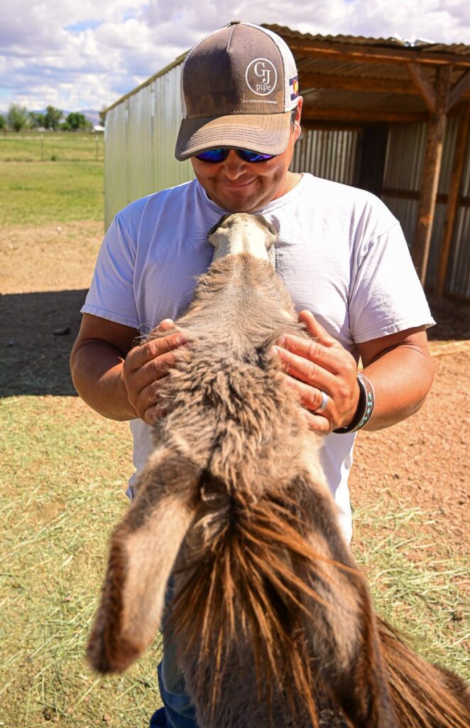 Picture of man gently stroking a donkey in an open field.