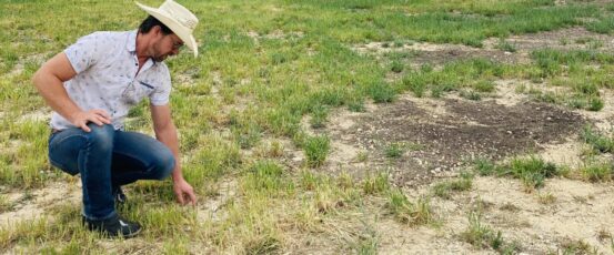 Against the Grain EP 4: It’s Not the Cow, It’s the How