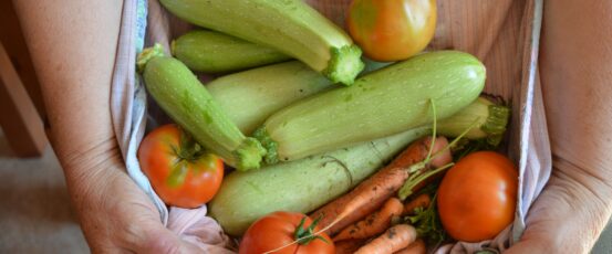 Farm Aid Statement on Federal Interruption of the Supplemental Nutrition Assistance Program (SNAP)