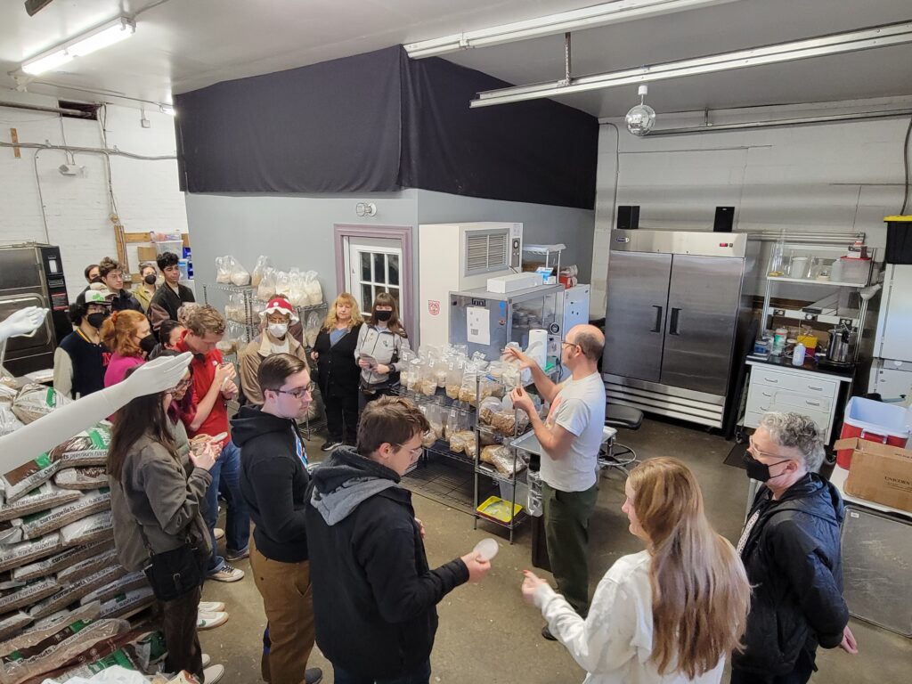 people learning about mushroom growing