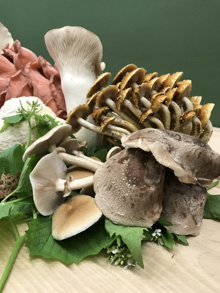 arrangement of mushrooms on a table