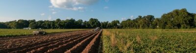 farm soil under a blue sky