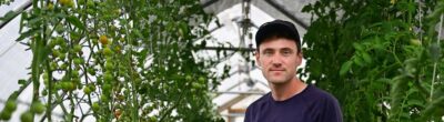A farmer stands next to tomato bushes while holding a green bucket and a cover is overhead