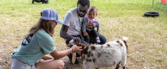 Checking in on the HOMEGROWN Village on the #Road2FarmAid