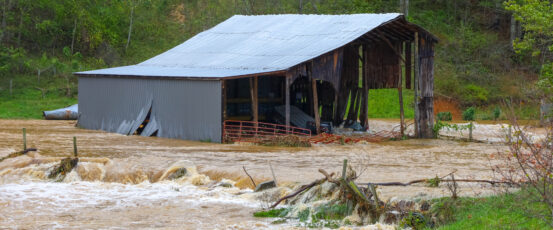 How to Help Farmers Recover from Recent Natural Disasters