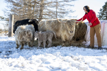 Sharing Messages of Thanks to Farm Aid’s Hotline Team