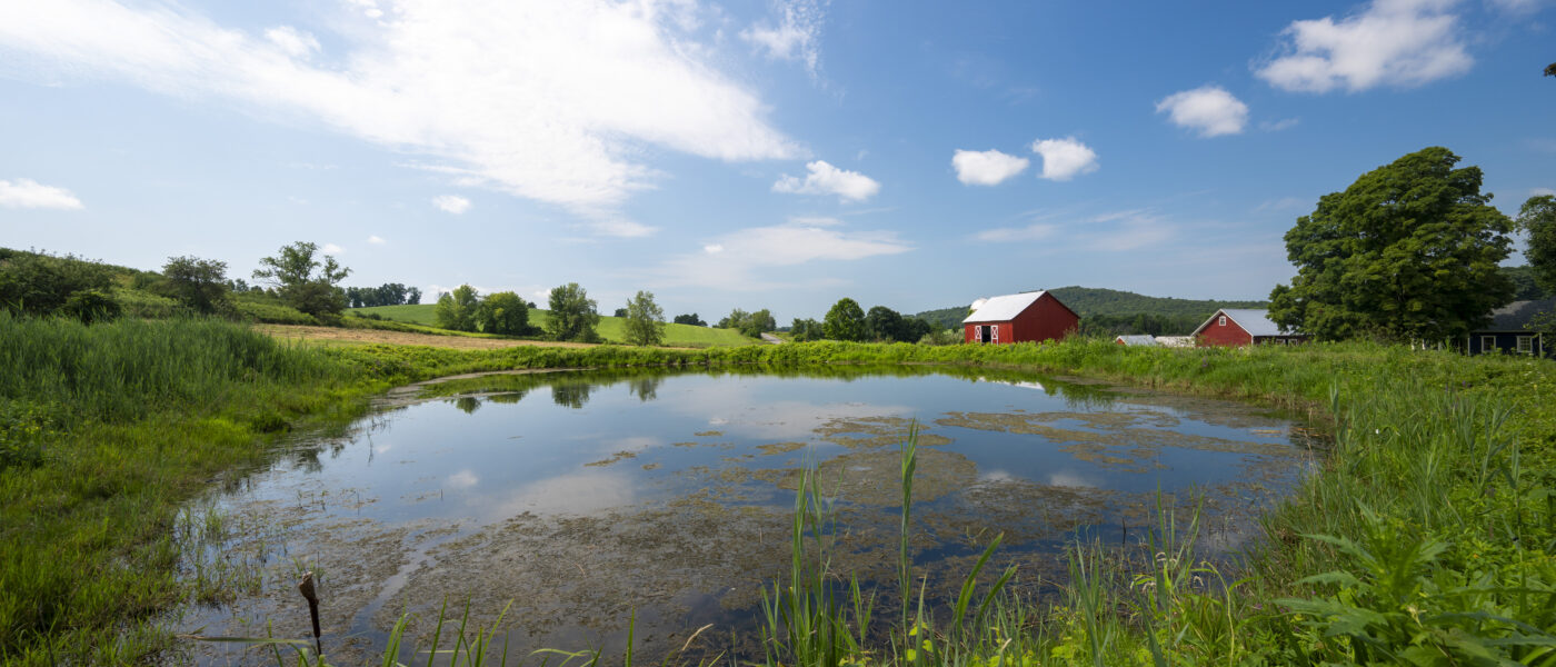 Scenic farm