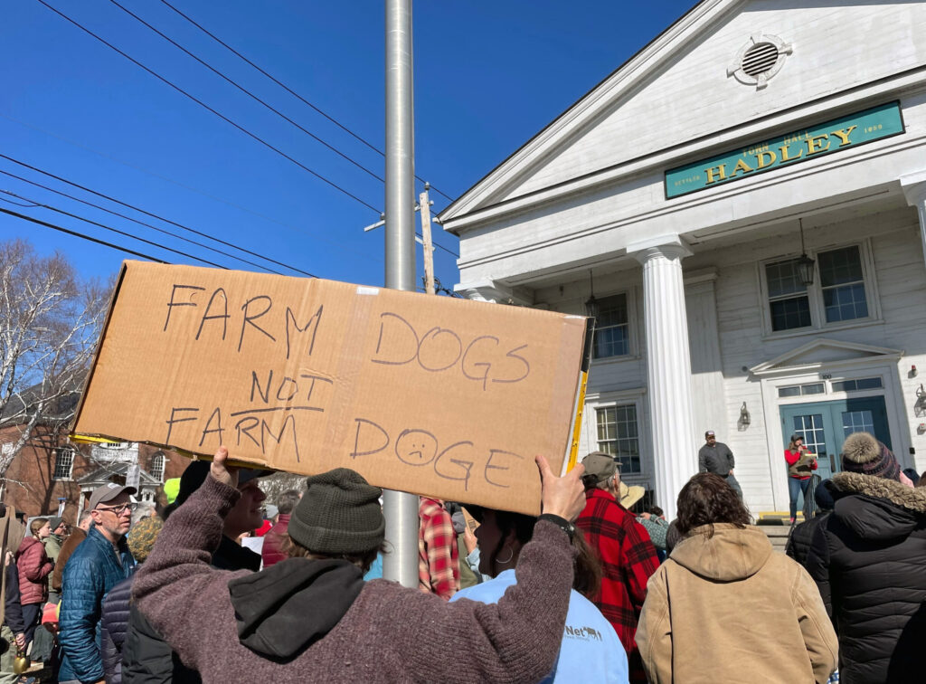 person holding a sign that says "FARM DOGS NOT FARM DOGE"