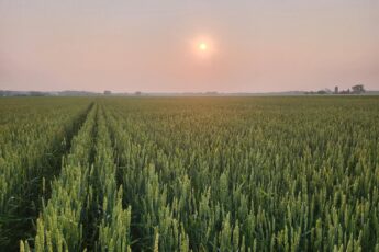 Frozen federal funds hurt farmers