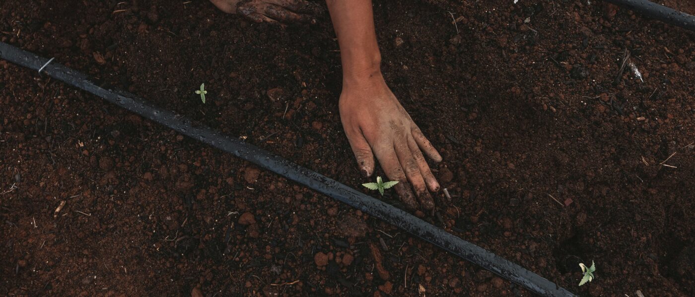 hands in soil