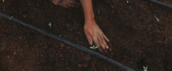 Caring for the earth is part of being a farmer