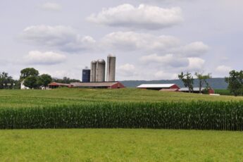 What tariffs mean for American farmers