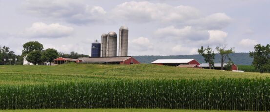 What tariffs mean for American farmers