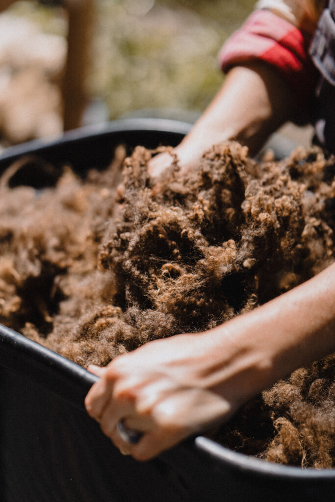 Wool being sorted and processed
