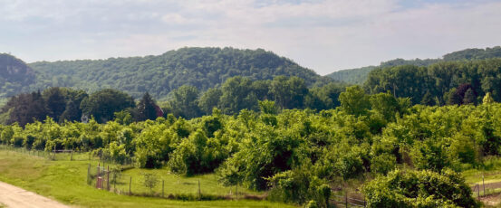 Nine Hazels Farm: A Hopeful Path Forward with Nature