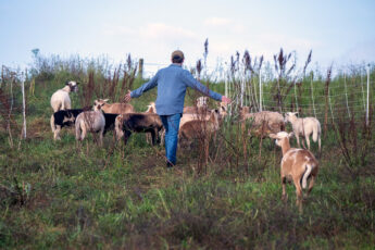 What are America’s family farmers up against right now?
